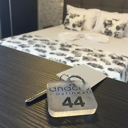 Anacris Гостевой дом Костинешти