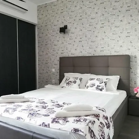 Anacris 코스티네스티